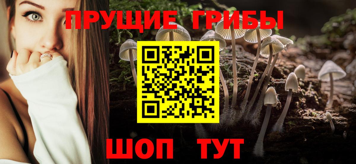 Галлюциногенные грибы ЛСД  Вход с VPN  Псилоцибиновые грибы прущие грибы  Красноармейск 