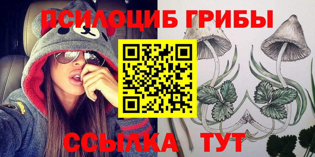 Псилоцибиновые грибы Cubensis Красноармейск